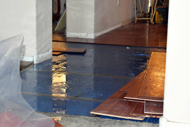 Professional Basement Flood Cleanup technician working in Felton, PA